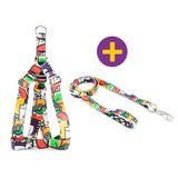 Peitoral e Guia Smooty Pet Abstrata P kit