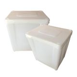 Pote De Plastico Tampa 10l Com Tampa - 2 Pcs