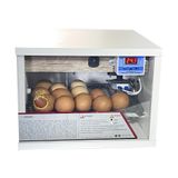 Chocadeira Automática 30 Ovos Digital 220volts