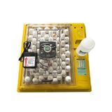 Chocadeira Premium Ecologica Ip 70 220v