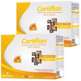 Kit 2x Cartiflan Anti Artri (cúrcuma + Colágeno Tipo 2) 30 Cápsulas - Macrophytus