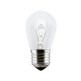 Lâmpada Incandescente Taschibra Fogão/geladeira 40w E14 220v