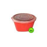 Pote Plástico Free Bpa Multi Uso Vasilha 10l Vermelho An0935