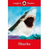 SHARKS-3