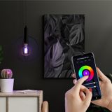 Lampada Smart Filamento Wi-fi Led 6w G95 Rgb Taschibra