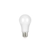 LAMPADA LED BULBO E27 DIM. 9,8W 220° 810LM STH20250 27