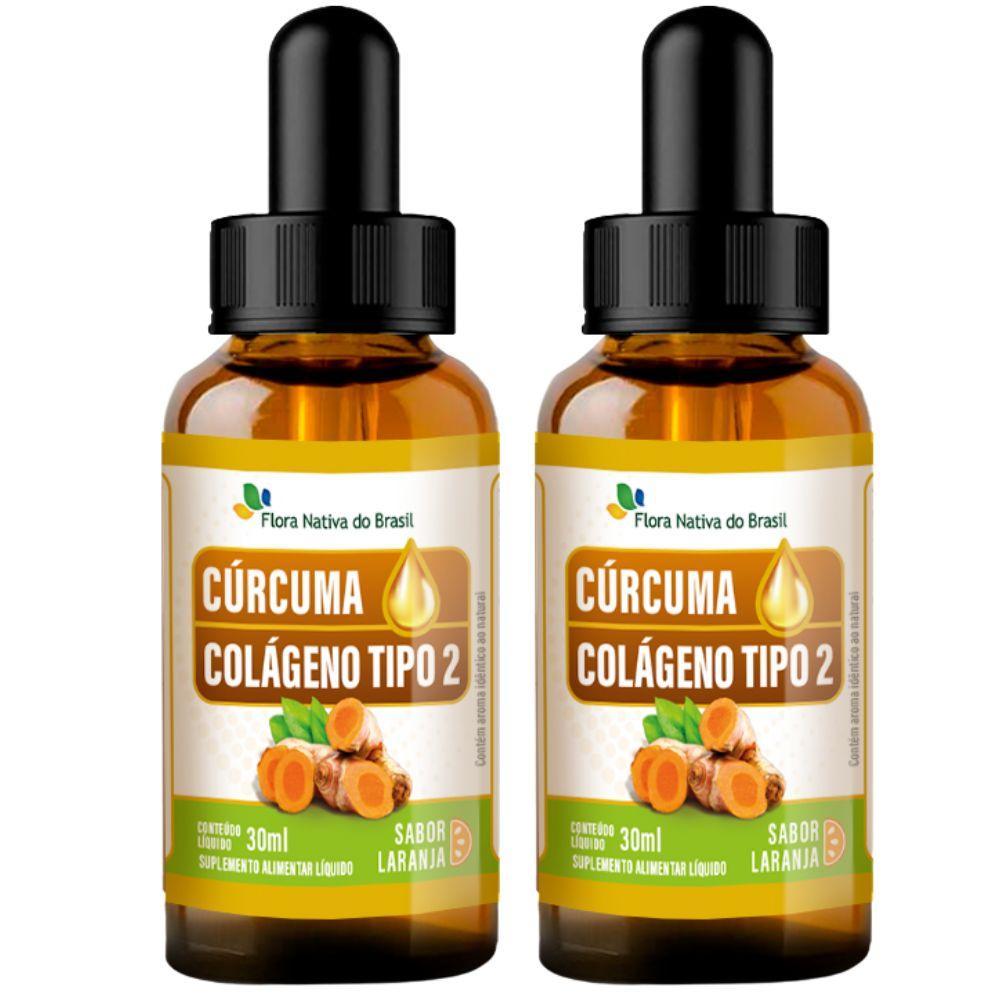 Kit 2x Cúrcuma + Colágeno Tipo Ii Em Gotas 30ml - Flora Nativa Sabor:laranja