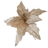 Flor Artificial Natal Veludo Champanhe Haste 45m 45cm