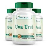 Uva-ursi Natural Cápsulas De 500mg Kit 3 Frascos Búxulo