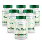 Uva-ursi 360 Cápsulas De 500mg Kit 6 Frascos Ursina