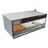 Chocadeira Automática 100 Ovos Digital Com Ovoscópio 110v