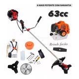 Rocadeira Profissional Gasolina 4 Tempos 62cc + Disco Videa