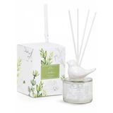 Difusor De Aromas Verbena 250ml Greenswet (cítrico E Verde)
