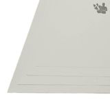 Papel Filigranado Moeda 120g A4 (210x297mm) 10 Folhas