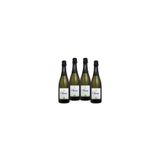 Kit 04 Espumantes Salton Classic Moscatel 750ml