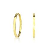 Brinco Argola Fio Redonda 2 Cm Em Ouro 18k