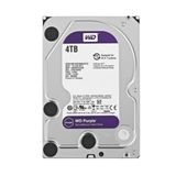 Hd Wd Purple Surveillance 4tb Sata 3 - Wd43purz