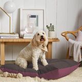 Caminha Pet Quadrado Almofada Para Cachorro Gato Suede Marrom E Bordô - Ahazzo Móveis