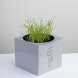Kit Gatos Vaso Autoirrigável + Erva - Cinza Claro - 10cm