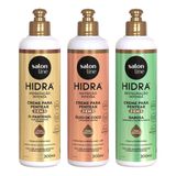 Creme Pentear Salon Line Hidra D-pantenol 300ml