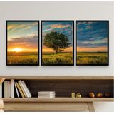 Kit 3 Quadros Decorativos 45x34cm - Vidro E Moldura Branca