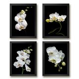 Quadros Florais Fotografias Orquídeas 33x24cm - Kit 4 Peças