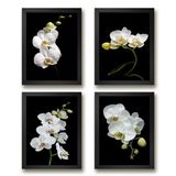 Kit 4 Quadros Florais Orquídeas 33x24cm - Madeira Preta