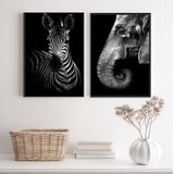 Kit 2 Quadros Zebra E Elefante 24x18cm - Vidro E Moldura Branca