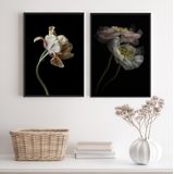 Quadros Flores Tons Bege Fundo Preto 45x34cm - Madeira Preta