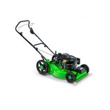 Cortador De Grama Lf-55rc Gasolina 6,5hp Tracionado E Recicladora Trapp