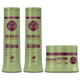 Kit Shampoo Condicionador Máscara 300ml Haskell Bananeira