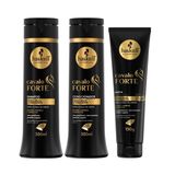 Kit Shampoo Condicionador 300 Leave 150 Haskell Cavalo Forte