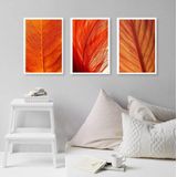 Kit 3 Quadros Decorativos Folhas Alaranjadas 33x24cm - Vidro