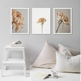 Kit 3 Quadros Decorativos Elegantes Flores Bege 33x24cm