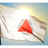 Bandeira Minas Gerais Oficial Grande 150 X 90 Cm Envio Já