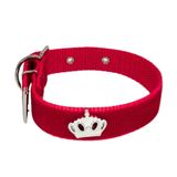 Coleira Camurça Aplique 25mm Cachorro Nicapet Cor Vermelha