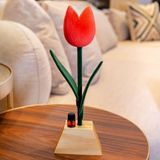 Essencia Flor De Laranjeira Com Tulipa Veludo (9401003)
