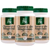 Kit 3 Cloreto De Magnésio (produto Vegano) 60 Cápsulas 550mg