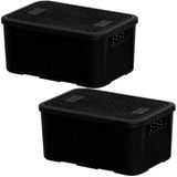 Caixas Organizadoras Rattan 5.8 Litros 2041 2 Unidades Plasnew