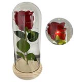 Luminária Rosa Bela E A Fera De Led Cúpula Dia Dos Namorados