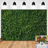 3d Folhas Verdes Fotografia Panos De Fundo Primavera Natureza Ao Ar Livre