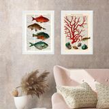 Kit 2 Quadros Casa De Praia- Peixes E Alga 45x34cm