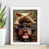 Quadro Porco Motociclista 45x34cm - Com Vidro