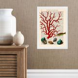 Quadro Casa De Praia - Coral Vintage 24x18cm - Com Vidro