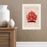 Quadro Casa De Praia - Coral Vermelho 45x34cm - Com Vidro