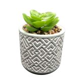 Vaso Porcelana Planta Suculenta Artificial Plástico Flor Vasinho Decorativo Cores 7x7cm Presente