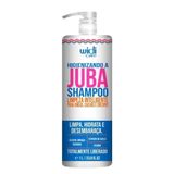 Shampoo Higienizando A Juba Widi Care 1l