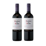 Kit Vinho Casillero Del Diablo Merlot Tinto Seco 750ml 2uni