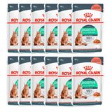 Kit 12un. Ração Úmida Royal Canin Sachê Gatos Adultos