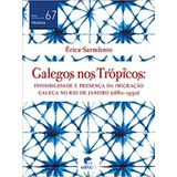 Galegos Nos Trópicos: Invisibilidade E Presença Da Imigração Galega No Rio De Janeiro (1880-1930)